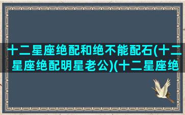 十二星座绝配和绝不能配石(十二星座绝配明星老公)(十二星座绝配表 最搭的星座配对)